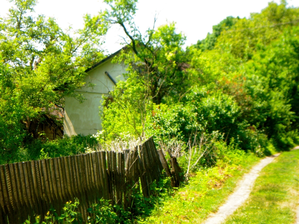lovely-path
