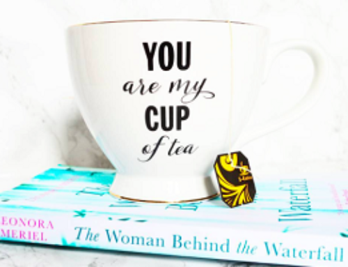 Book Blog Adventures