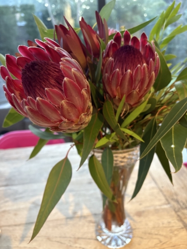 Flowers Sa